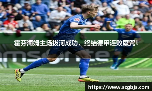 霍芬海姆主场拔河成功，终结德甲连败魔咒！