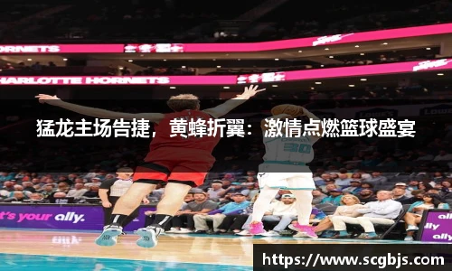 猛龙主场告捷，黄蜂折翼：激情点燃篮球盛宴